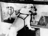 1941 A_bulldog in front of trophy case.jpg